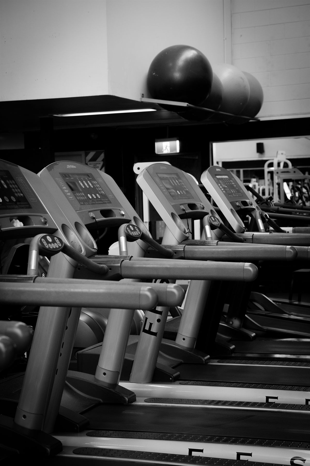 Row of treadmills in the cardio area