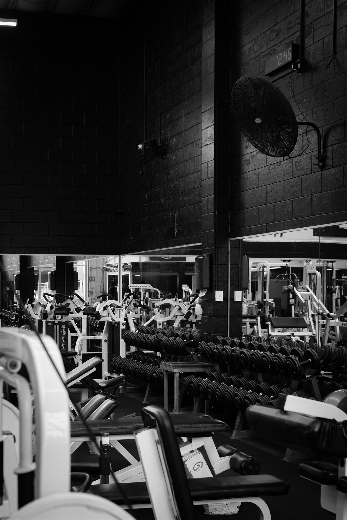 Dumbbell racks and free weight area