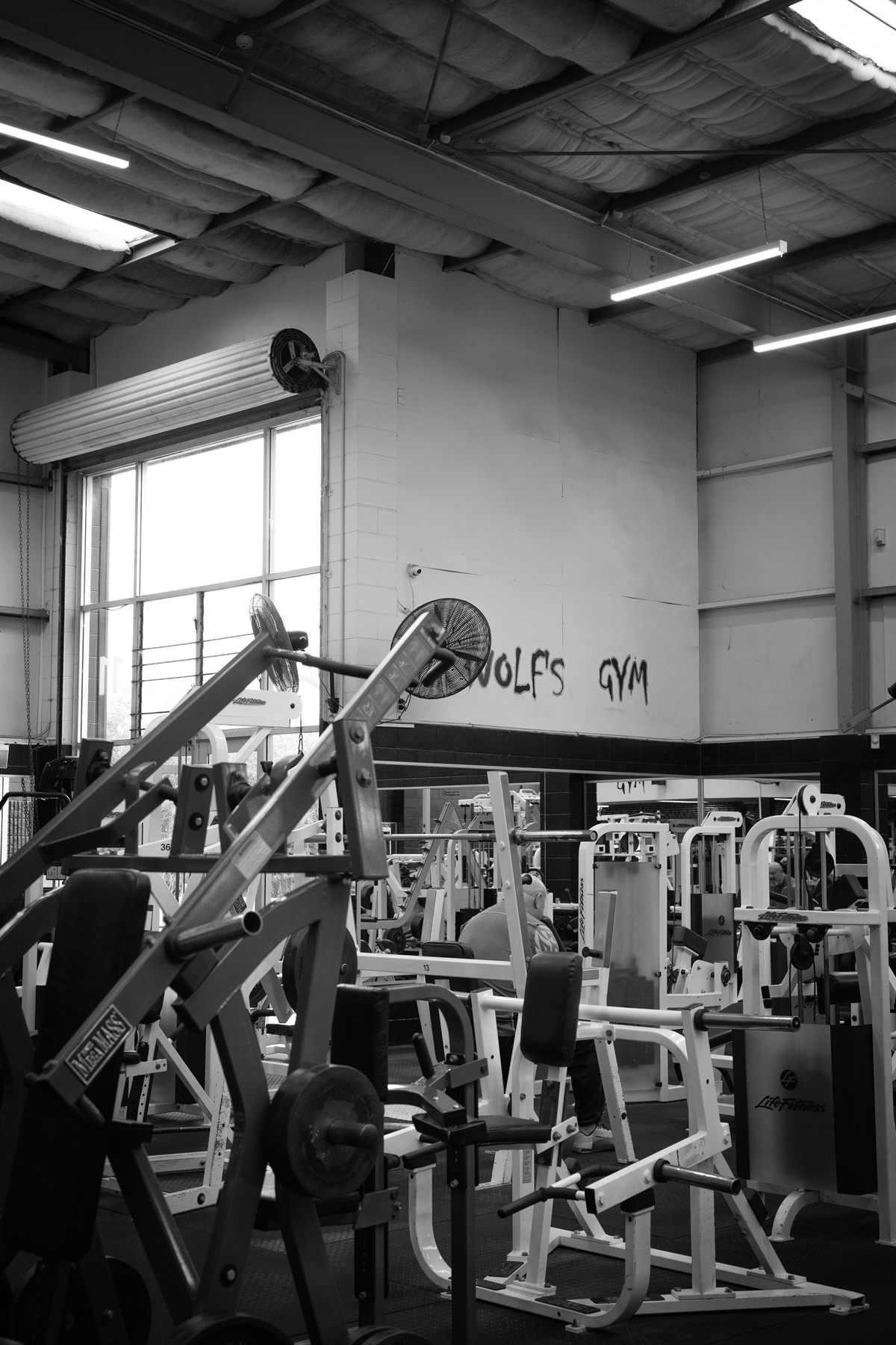 Wolf's Gym Henderson main training floor and strength machines