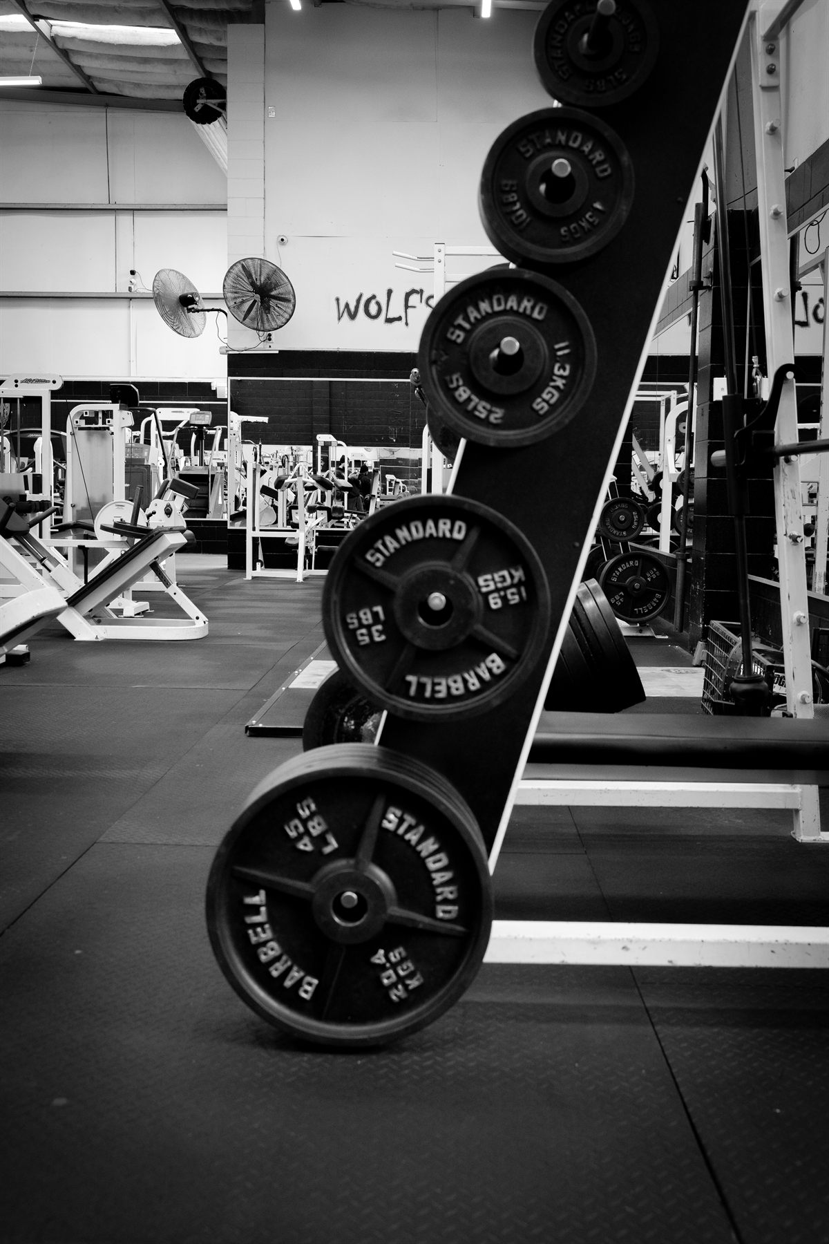 Weight plates beside the strength training floor