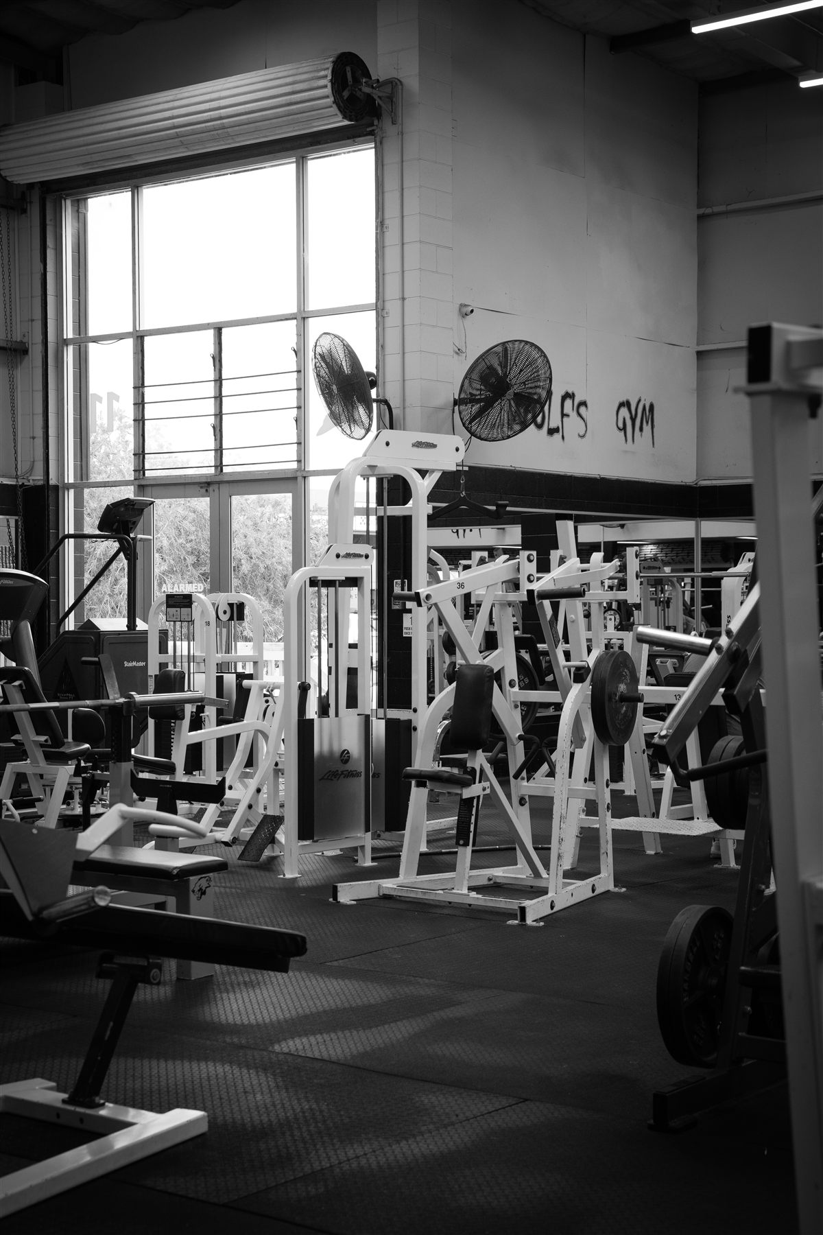 Wide view across the Wolf's Gym strength training floor